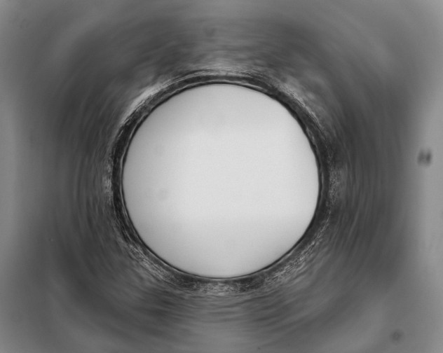 X0000098051307200804181313