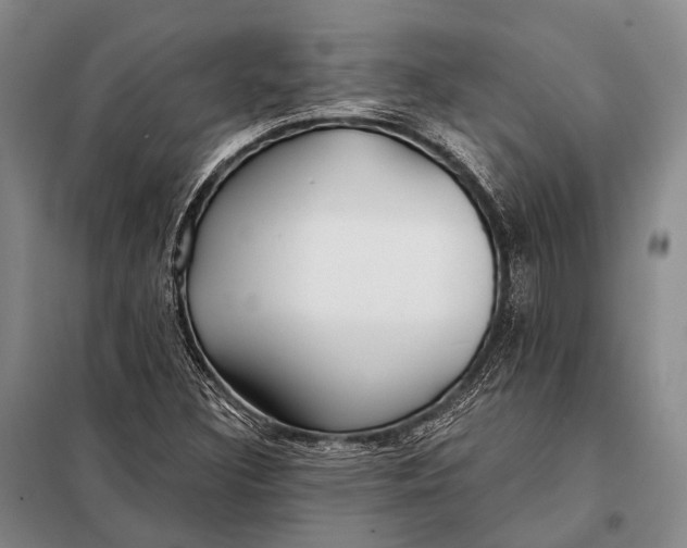 X0000098051308200804181313