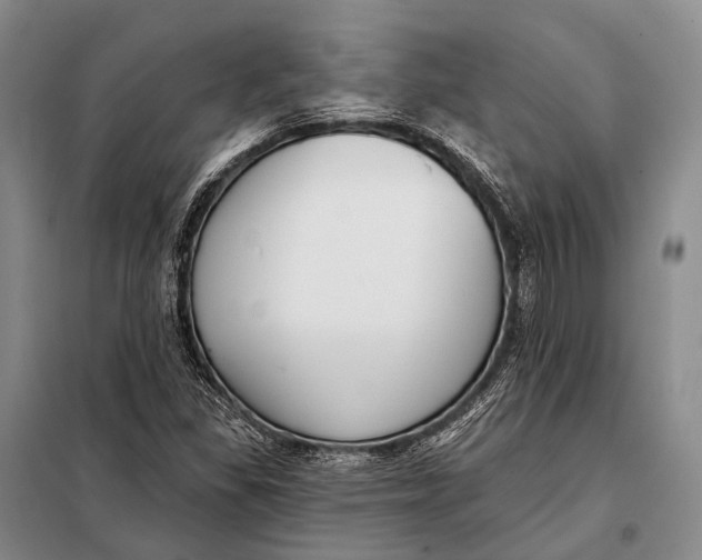 X0000098051309200804181313