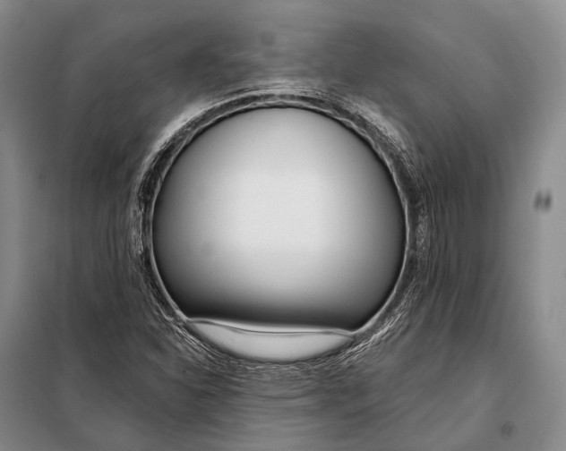 X0000098051310200804181313