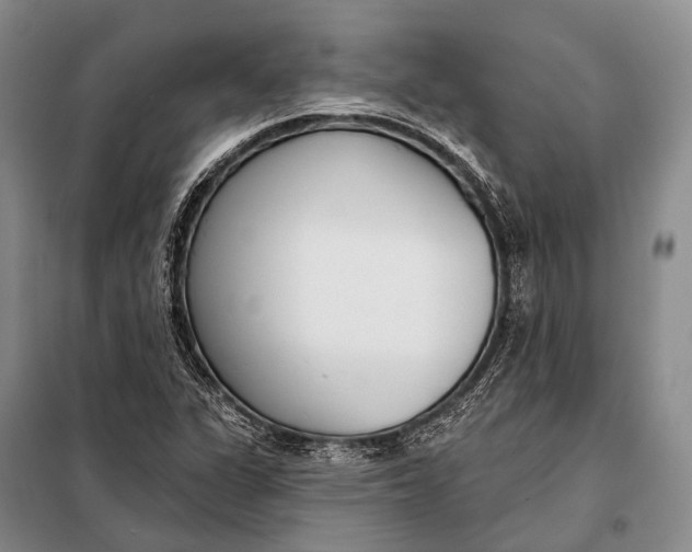 X0000098051311200804181313