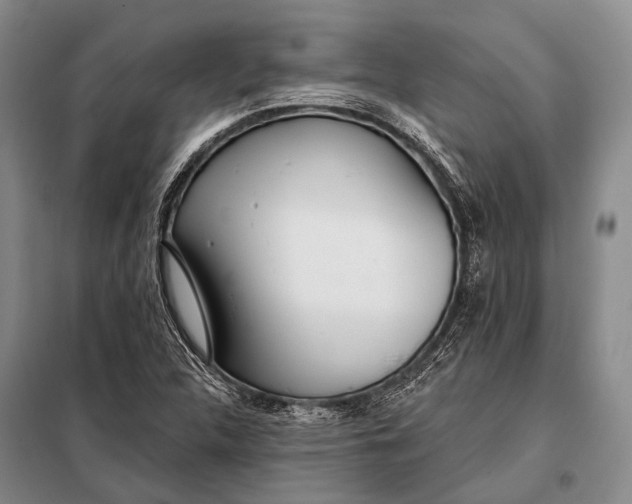 X0000098051312200804181313