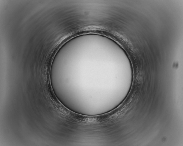 X0000098051313200804181313