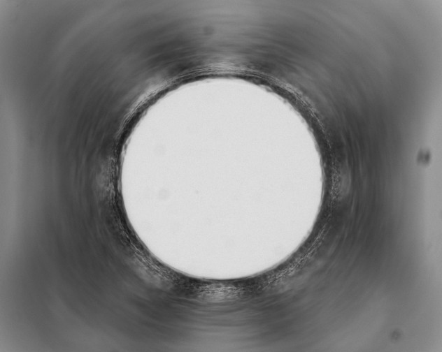 X0000098051314200804181313