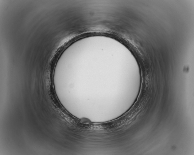 X0000098051315200804181313