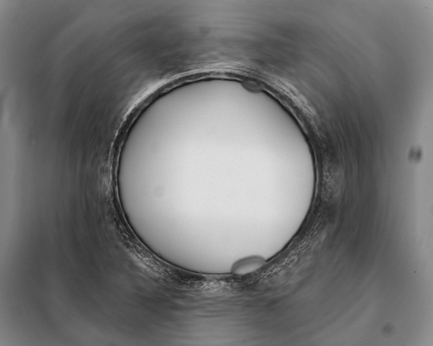 X0000098051316200804181313