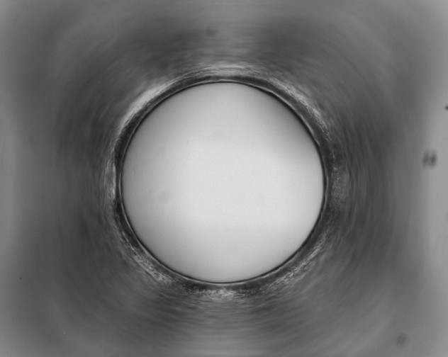 X0000098051317200804181313