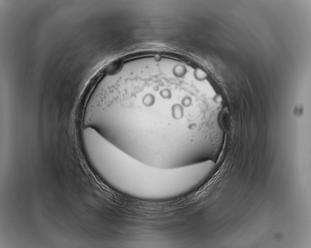 X0000098051318200804181313