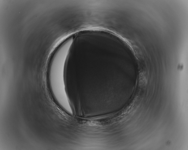 X0000098051319200804181313