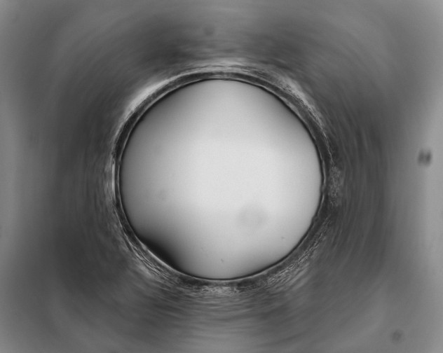 X0000098051320200804181313