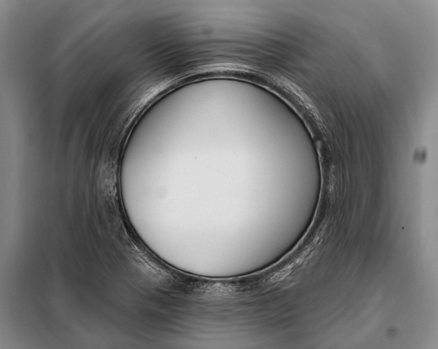 X0000098051321200804181313