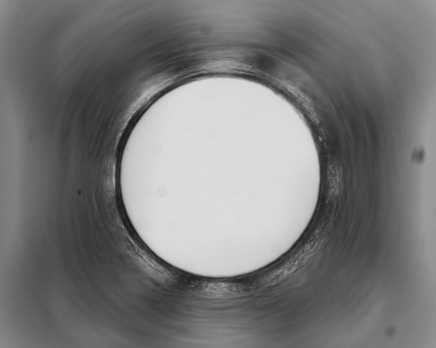 X0000098051322200804181313