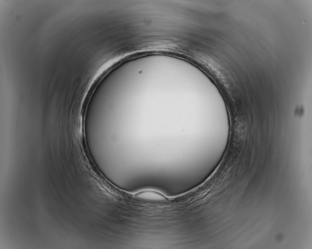 X0000098051324200804181313