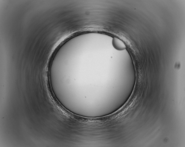 X0000098051325200804181313