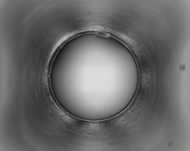 X0000098051326200804181313