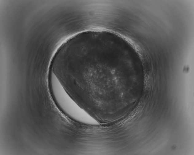 X0000098051327200804181313