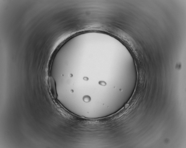 X0000098051328200804181313