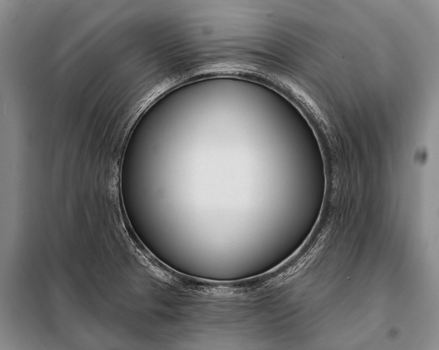 X0000098051329200804181313