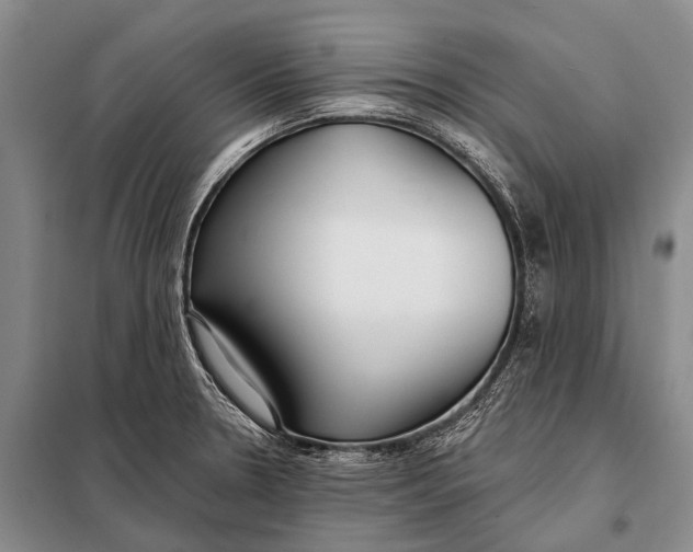 X0000098051330200804181313