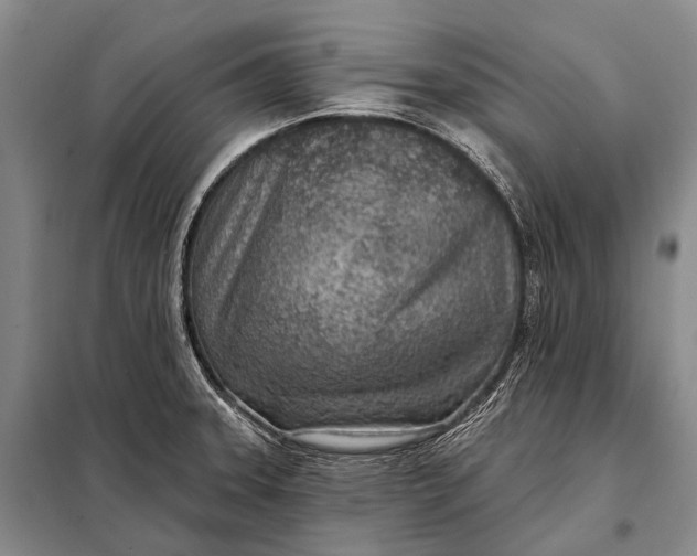 X0000098051331200804181313