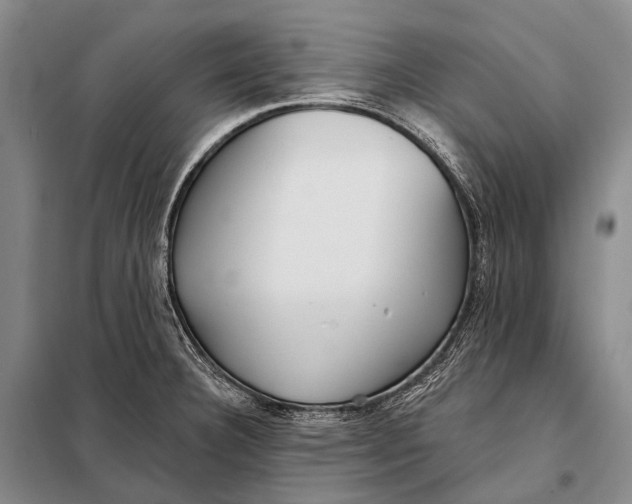 X0000098051332200804181313