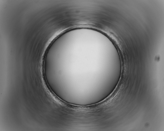 X0000098051333200804181313