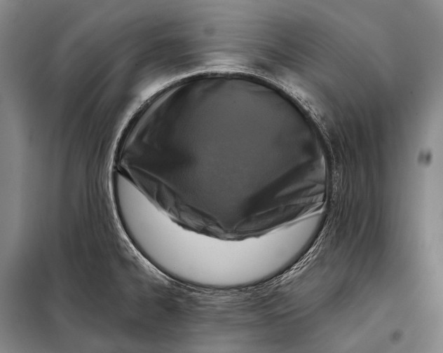 X0000098051334200804181313