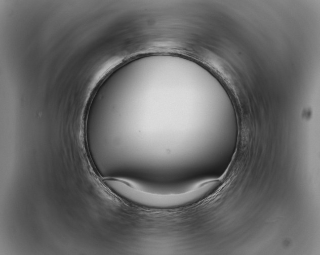 X0000098051336200804181313