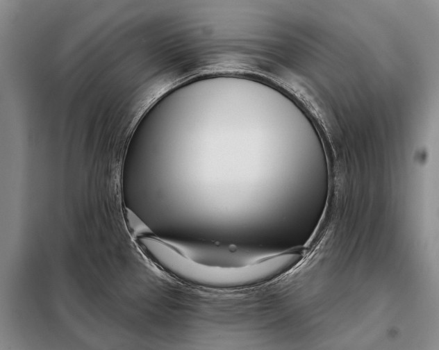 X0000098051337200804181313