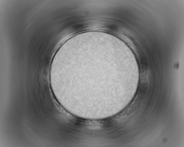 X0000098051338200804181313