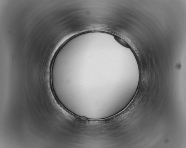 X0000098051339200804181313