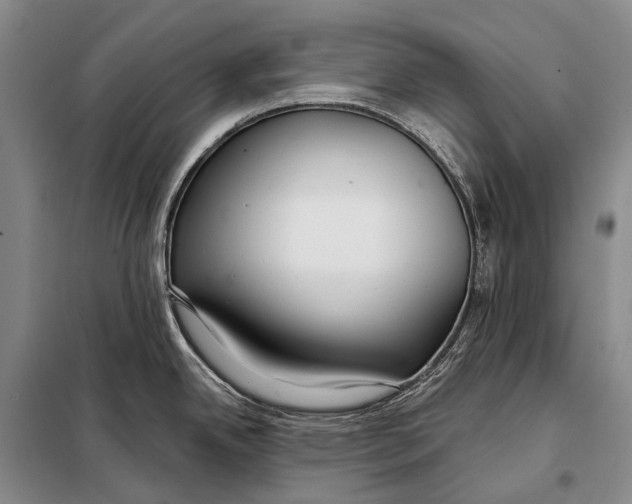 X0000098051342200804181313