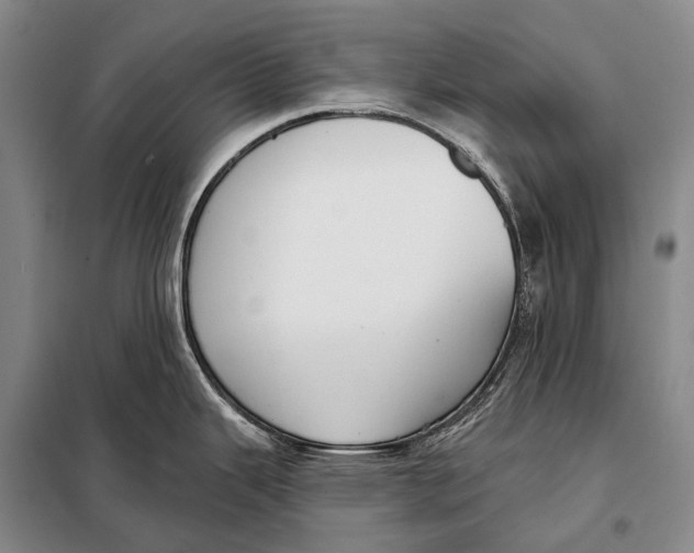 X0000098051343200804181313