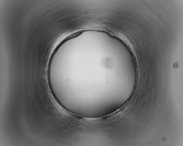 X0000098051344200804181313