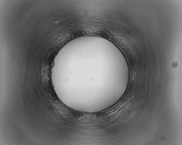 X0000098051346200804181312