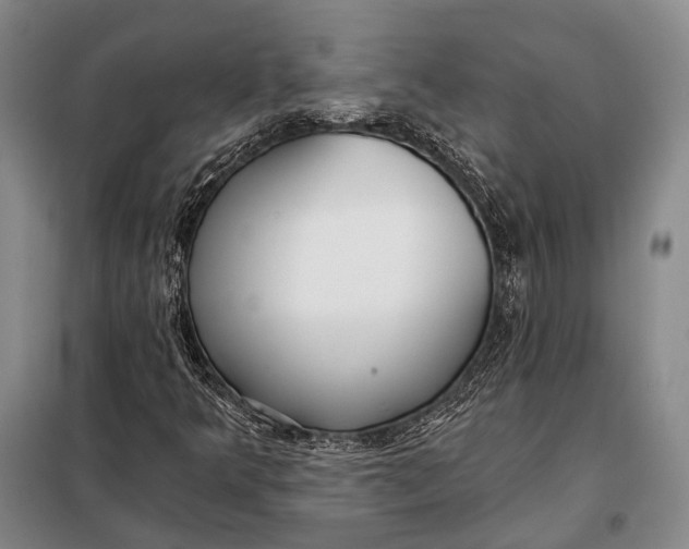 X0000098051349200804181312