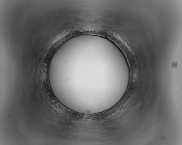 X0000098051350200804181312