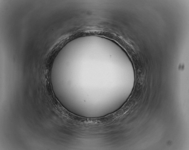 X0000098051351200804181312