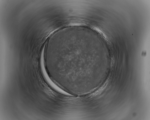 X0000098051353200804181312