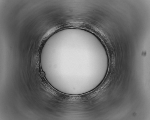 X0000098051354200804181312