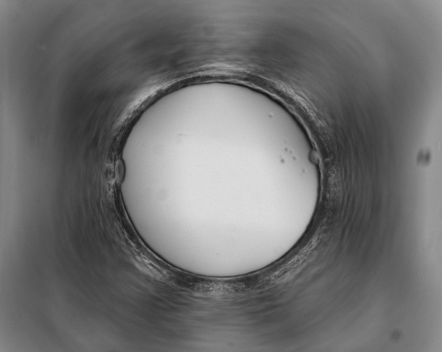 X0000098051355200804181312