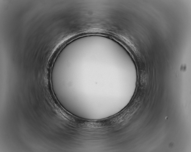 X0000098051356200804181312