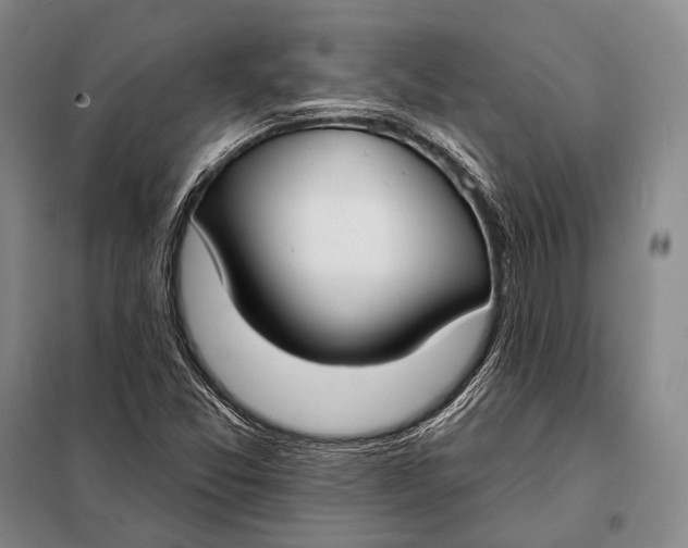 X0000098051357200804181312