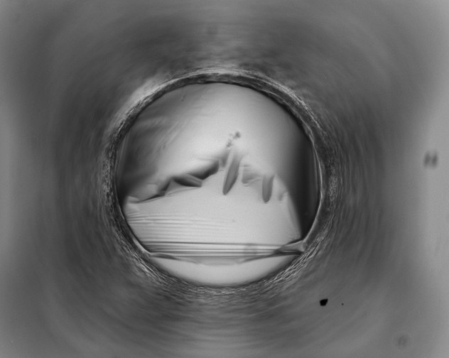 X0000098051359200804181312