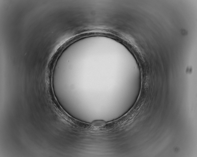 X0000098051360200804181312