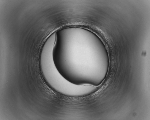 X0000098051361200804181312