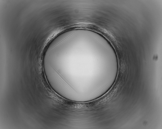 X0000098051362200804181312