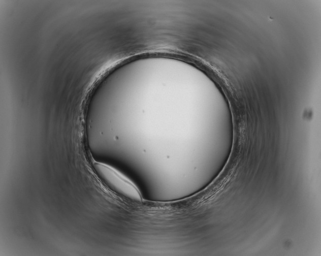 X0000098051363200804181312