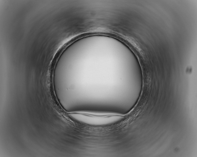 X0000098051364200804181312