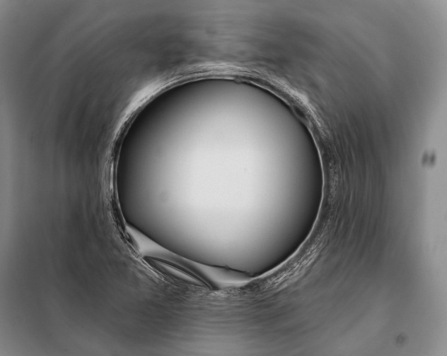 X0000098051365200804181312